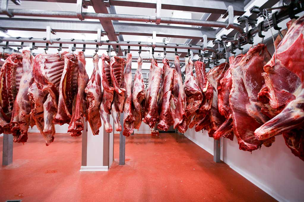 Beef and pork processing